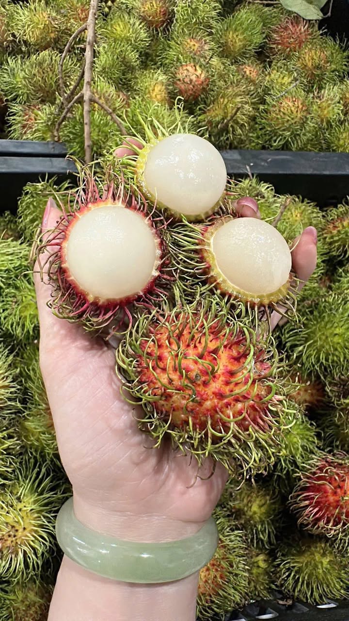 Bán chôm chôm Thái vườn nhà, không thuốc, 180k/set 4kg. Cơm dày, ngọt, nhận đặt hàng và giao tận nơi. Có thể vào vườn hái nếu thích.