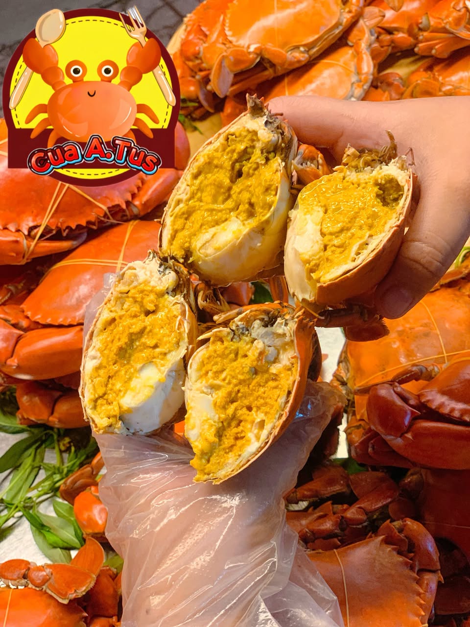 Cua Cà Mau hấp sẵn, tươi sống, không đông lạnh. Giá từ 50k/con. Có chế biến sốt me, bơ tỏi, trứng muối. Ship khu vực Quận 9, miễn phí hấp kèm nước chấm.