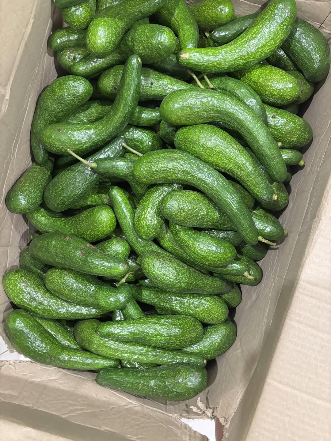 Bơ 034 ngon dẻo, nhà tự trồng, đảm bảo chất lượng. Giá 60k/kg, freeship Vinhome. Quý cô chú anh chị ủng hộ nhé!