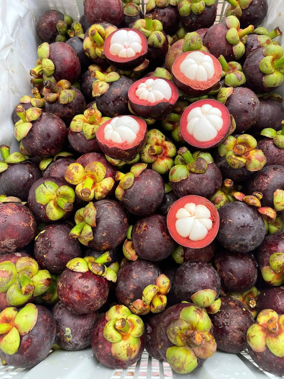 Bán măng cụt ngọt ngon 75K/kg, mua 2kg tặng 0,5kg mận hậu. Trái cây tươi mới, bao ăn từng trái. Free ship khu Vinhomes. Liên hệ Zalo: 0844788000.