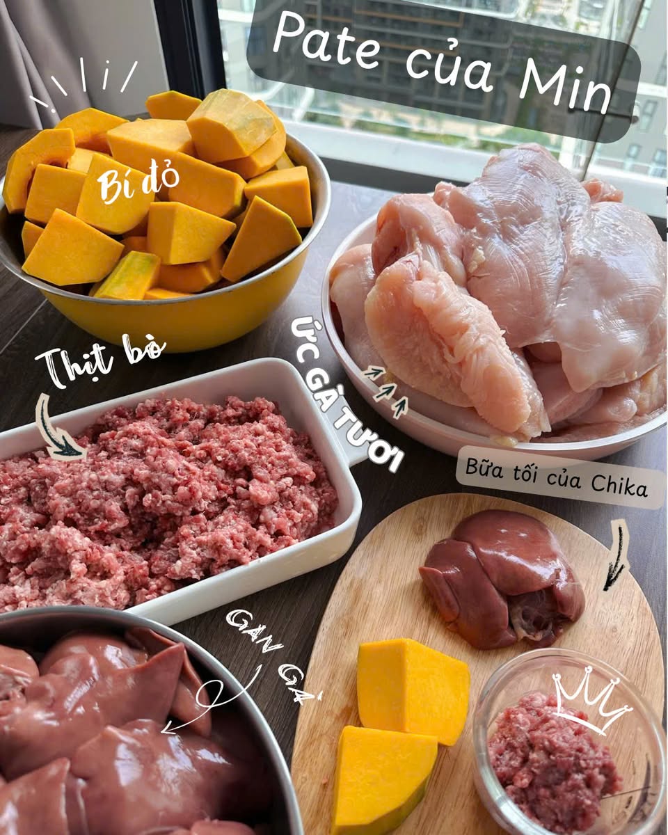 Bếp Pawté bán pate tươi cho chó mèo, không phụ gia, giao tận nơi, freeship cho cư dân Vinhomes Grand Park, hỗ trợ ship nội thành SG.