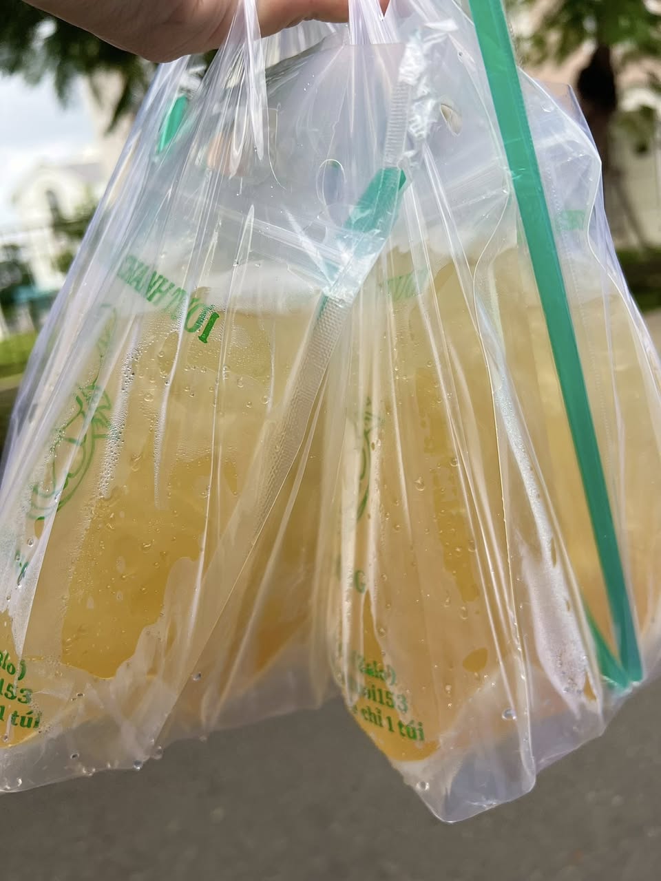 Bán bánh mì thịt nướng đầy topping và trà chanh tươi mát lạnh, nhận ship siêu tốc cho bữa sáng ngon miệng.