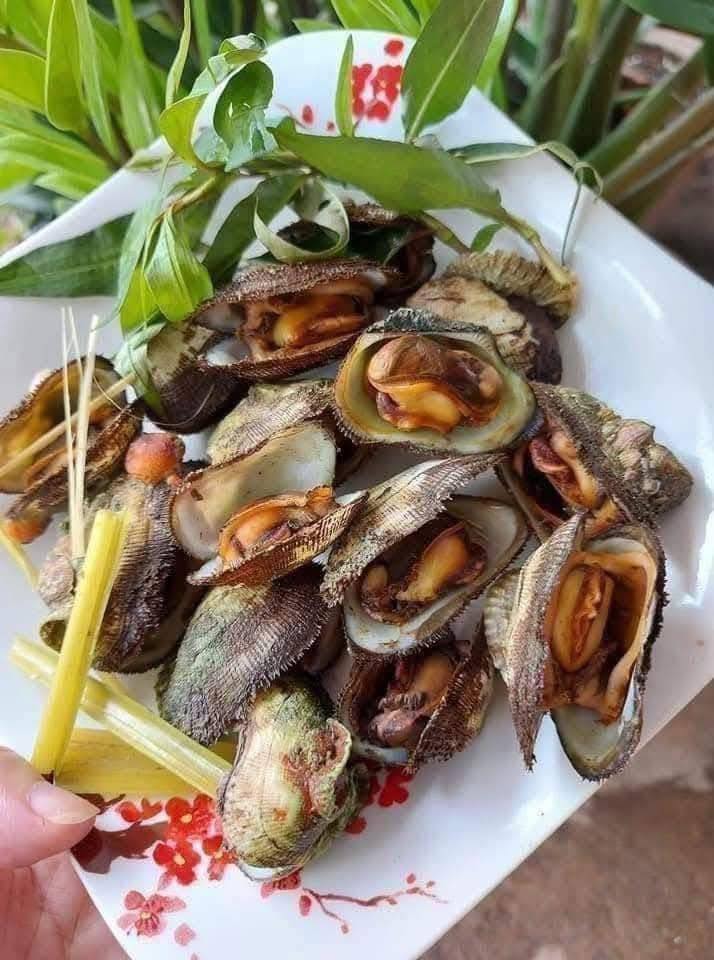 Bán sò đá Cam Ranh tươi sống, thịt béo ngọt, giá 95K/2kg hoặc 130K/3kg. Bao sống, bao kiểm hàng, ship tận nơi 20k-30k. Liên hệ 0933754543.