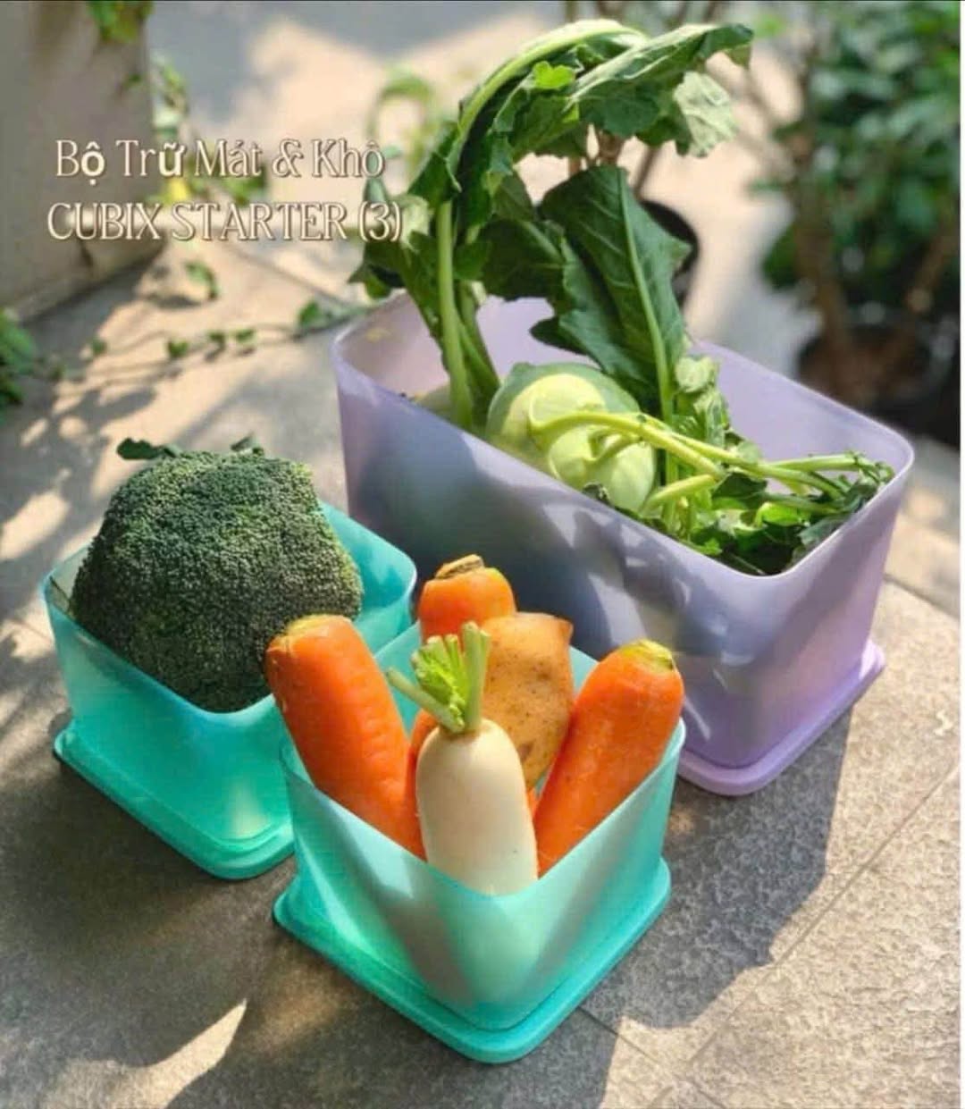Bộ trữ mát – trữ khô Tupperware Cubix Starter, gồm hộp 3.1L và 2 hộp 1L, giúp bảo quản thực phẩm khô, tối ưu không gian tủ, an toàn cho sức khỏe.