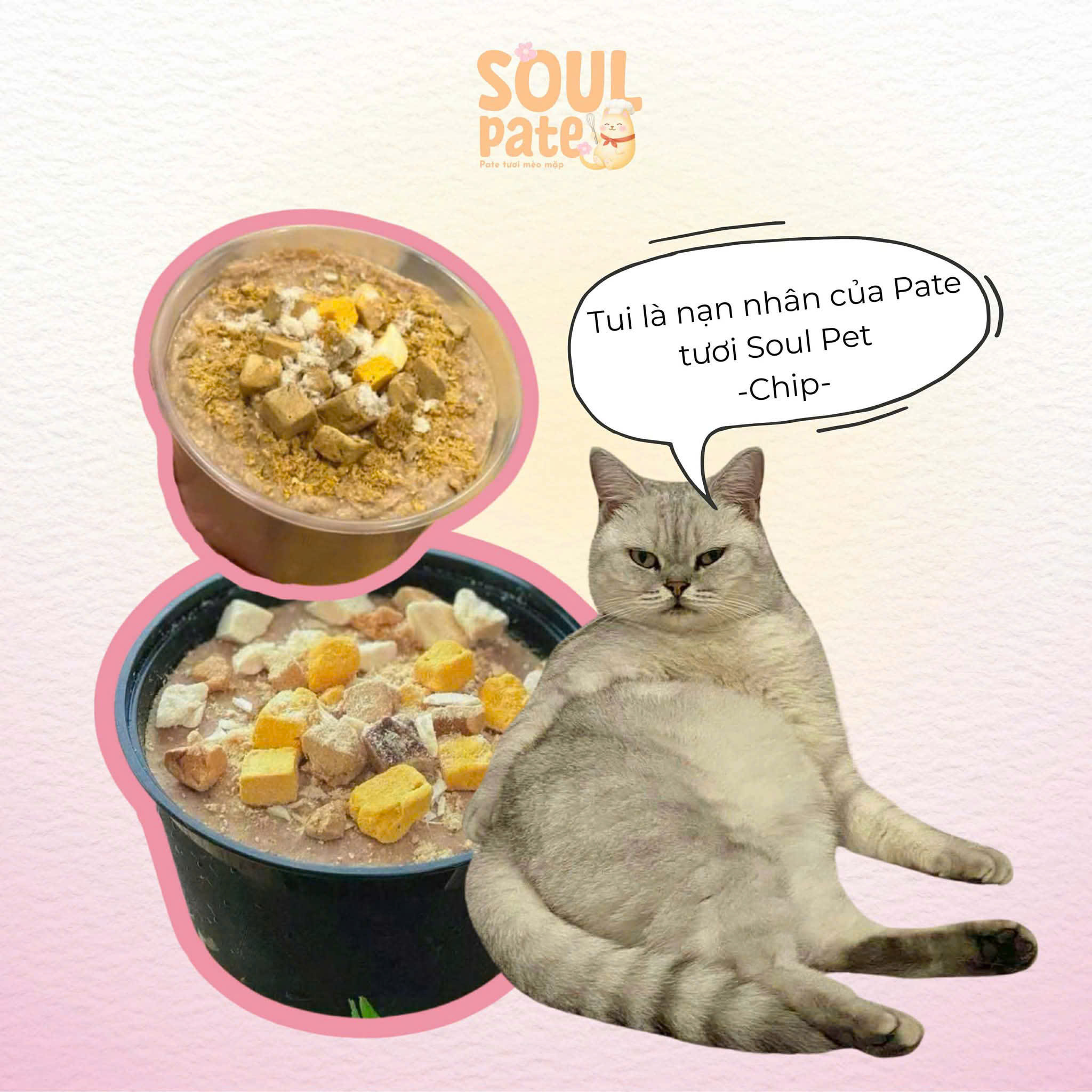 Bán thức ăn cho thú cưng (pate cá, pate gà, thịt bò, chim cút) kèm khuyến mãi hấp dẫn tại M5-03 Vinhomes Grand Park. Liên hệ: 0986200202.