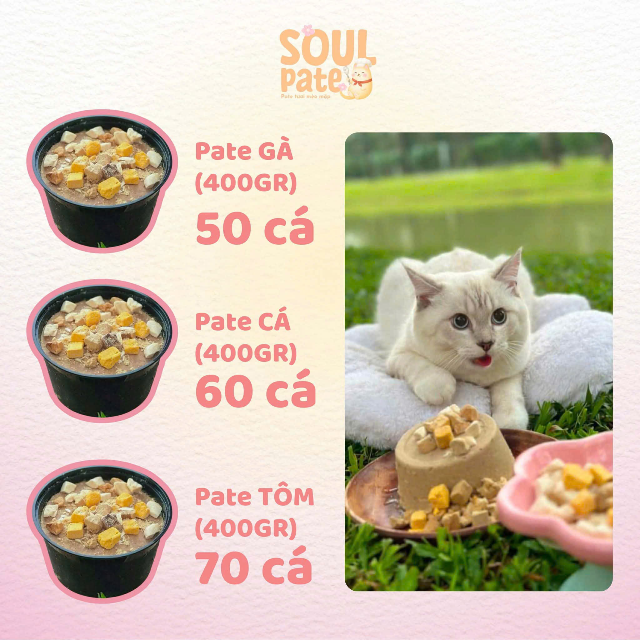Bán thức ăn cho thú cưng (pate cá, pate gà, thịt bò, chim cút) kèm khuyến mãi hấp dẫn tại M5-03 Vinhomes Grand Park. Liên hệ: 0986200202.