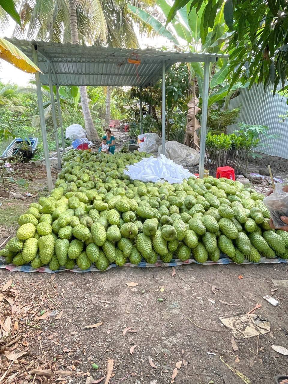 Bán thực phẩm số lượng lớn, giao hàng tận nhà miễn phí cho đơn từ 100 ký trở lên. Liên hệ Zalo 0972757772.