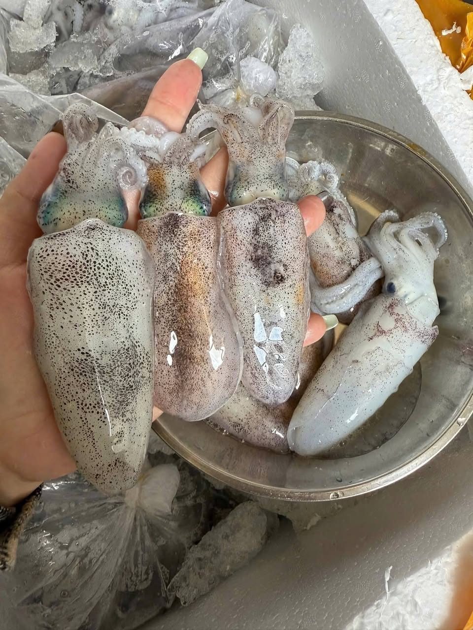 Bán hải sản tươi sống, gà tre, trứng gà, ship miễn phí Vinhomes. Giá từ 85k, nhiều loại mực, tôm, sò, ốc, giao tận nơi.
