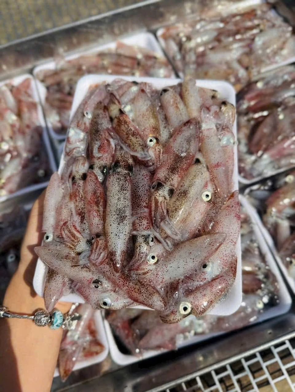 Bán mực tép nháy biển Phú Yên cấp đông, bột bánh xèo, mắm nêm, bánh tráng gạo. Nguyên liệu tươi ngon cho bữa ăn gia đình. Liên hệ 0375061802.