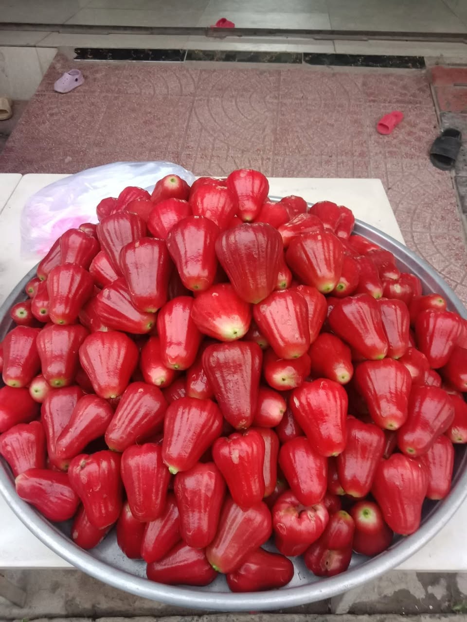 Bán mận An Phước, samboche, táo chua tươi, giá từ 60k-80k/3kg, có giao hàng tận nơi. Liên hệ Zalo 0909944890.