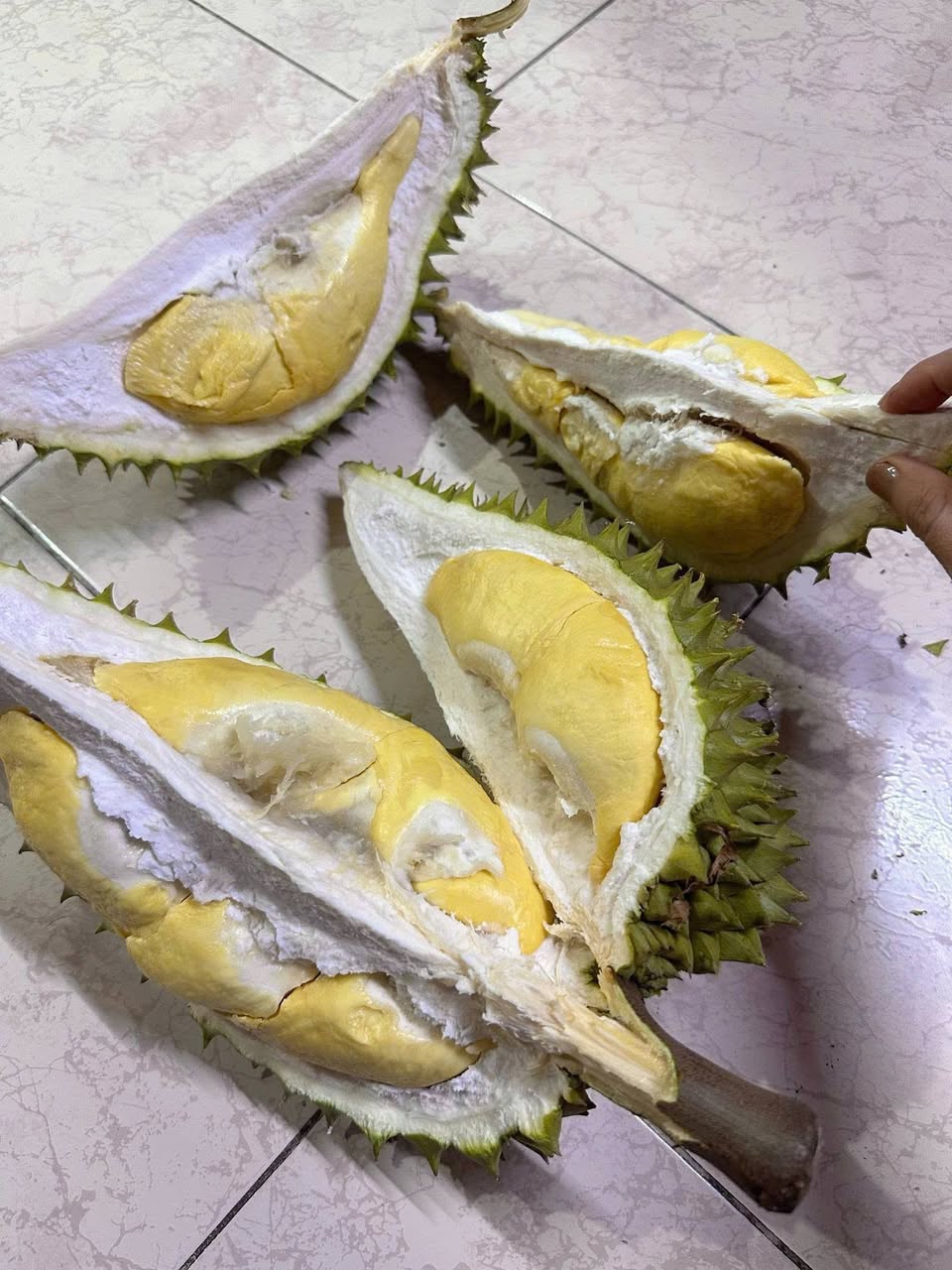 Bán sầu riêng nhà trồng, cam kết sạch không thuốc, nguyên trái 60k/kí, cơm sầu 230k/kí, freeship nội khu, liên hệ 0939798303.