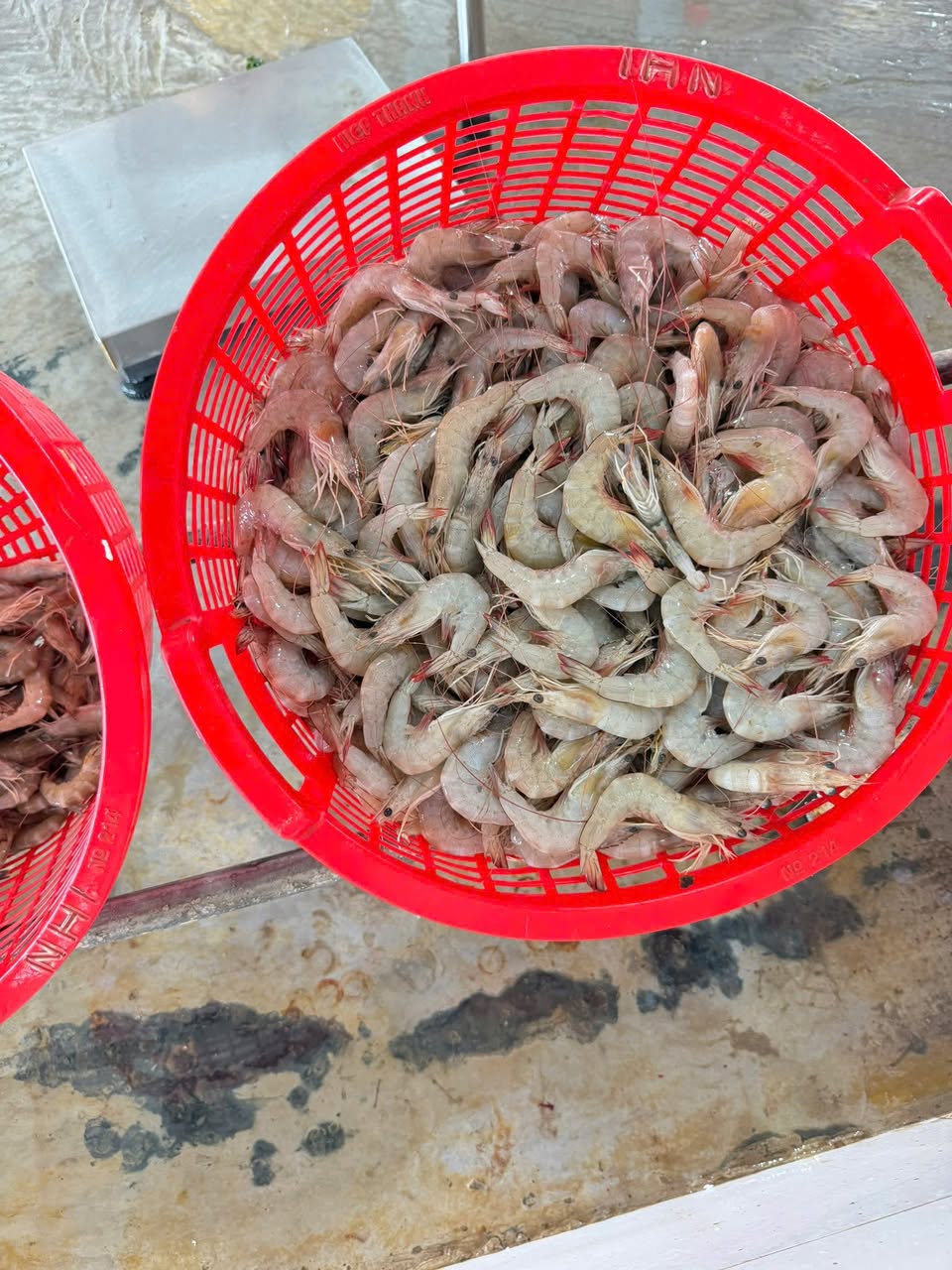 Bán tôm thẻ biển thiên nhiên, tươi ngon, giá 1kg 180k, 2kg 350k. Bao tươi, kiểm tra hàng thoải mái. Miễn ship Vin.