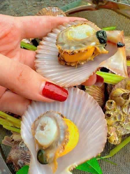 Bán sò điệp đỏ size lớn, tươi sống, 95k/kg (20-25 con), miễn ship tại S2-05 Vin. Liên hệ 0974406022.