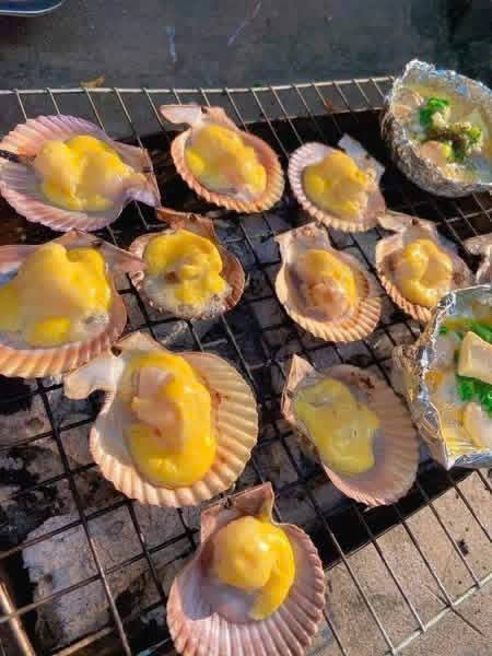 Bán sò điệp đỏ size lớn, tươi sống, 95k/kg (20-25 con), miễn ship tại S2-05 Vin. Liên hệ 0974406022.