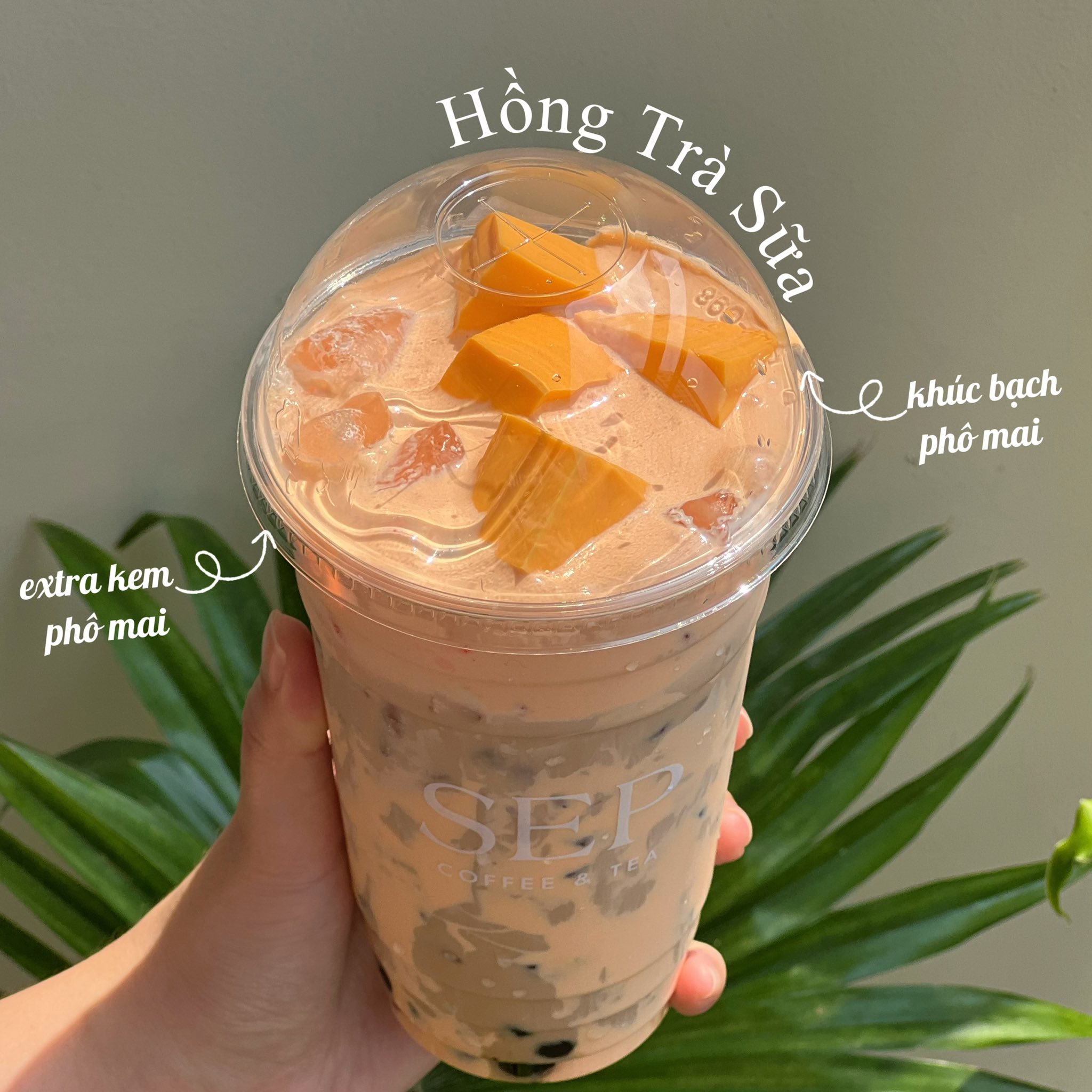 Sep Food & Coffee nhận order nước uống, bắp xào, bánh tráng trộn, giao hàng nội khu Vinhomes Grand Park, freeship đơn từ 50k. Đặt qua Zalo/SĐT 0339079839.