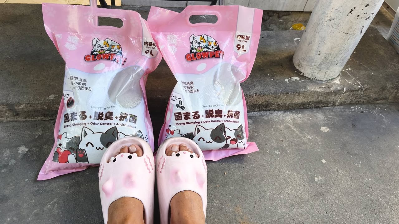 Bán cát Nhật 9L cho mèo giá 40k/túi, mua 5 tặng 1. Liên hệ để đặt hàng cho thú cưng của bạn.