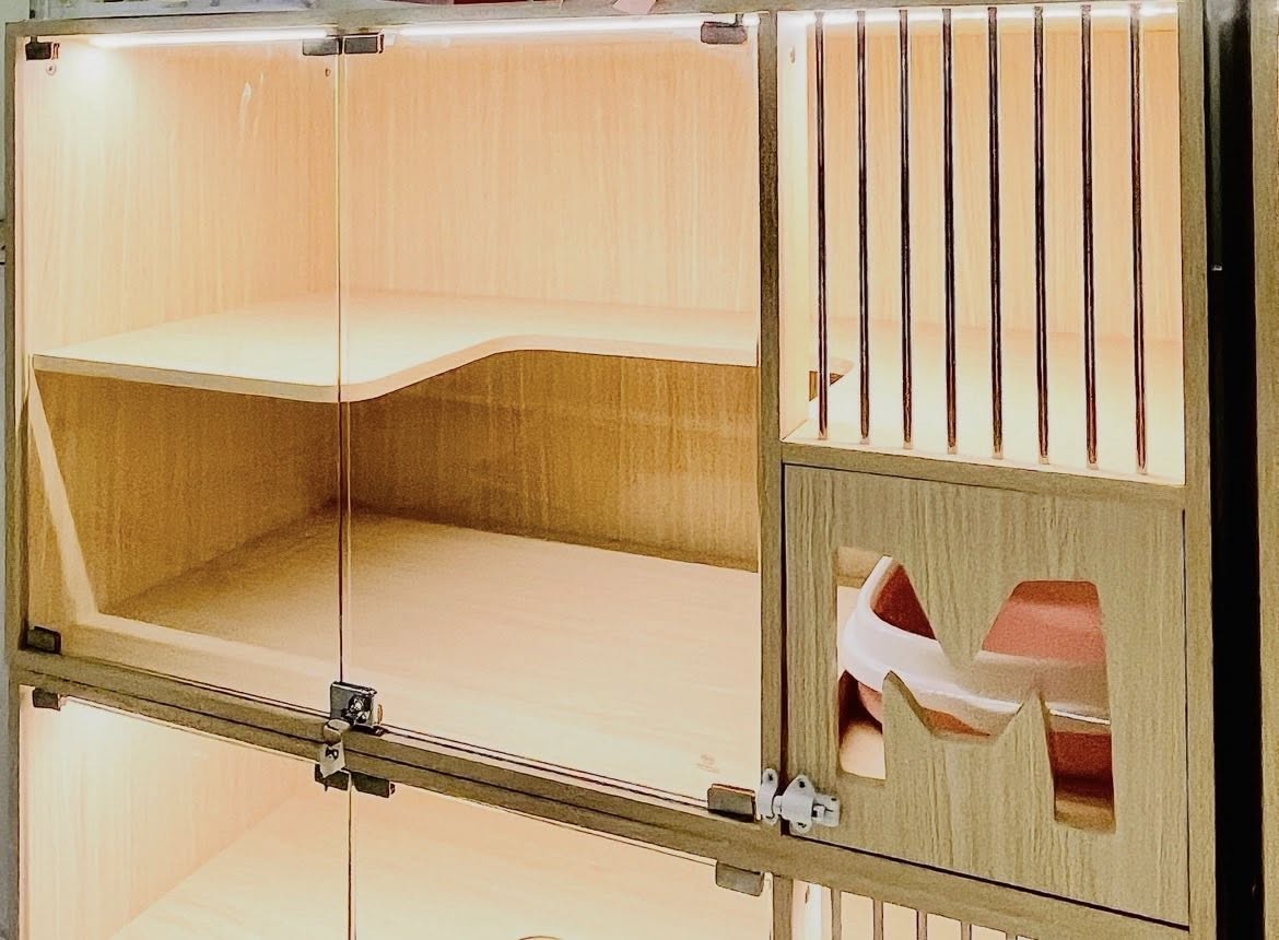 Hotel Mèo Ú nhận trông giữ mèo dịp lễ 30/4, phòng sạch sẽ, có người chăm sóc, miễn phí đưa đón dưới 5km tại Thủ Đức. Liên hệ đặt chỗ sớm.