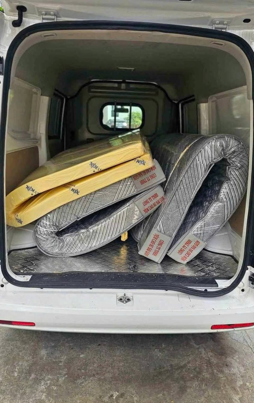 Bán nệm cao su American dày nhiều kích thước, giá từ 600k. Miễn ship khu vực Tp.HCM. Liên hệ Zalo 0366.595.649.