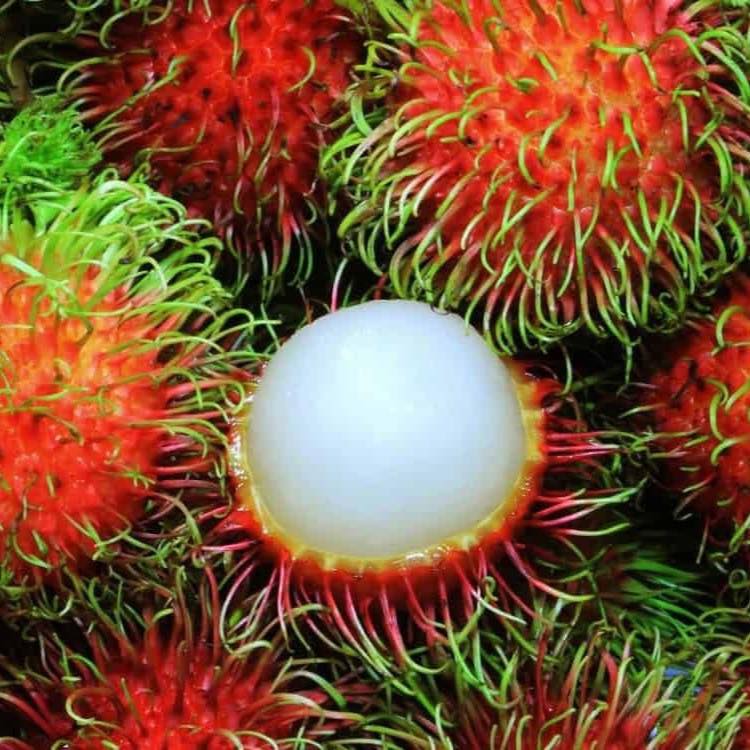 Bán chôm chôm Thái Long Khánh, hái sáng giao chiều, bao tươi ngọt. Miễn ship Vin. Giá 110k/2kg. Liên hệ 0902811248.