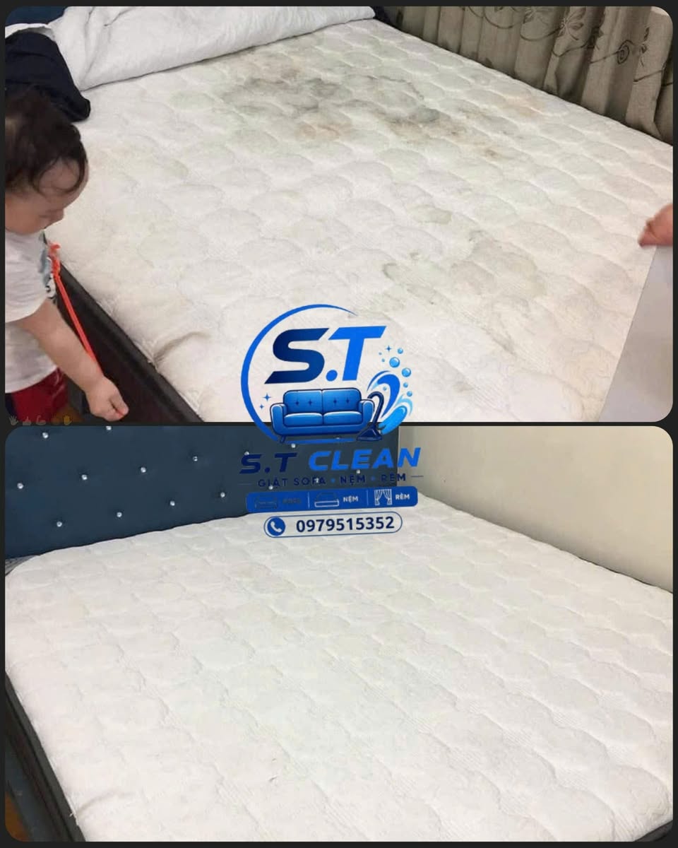 Dịch vụ S.T Clean chuyên giặt sofa, nệm, rèm, thảm tận nơi với dung dịch an toàn cho da, phù hợp gia đình có trẻ nhỏ, thú cưng.