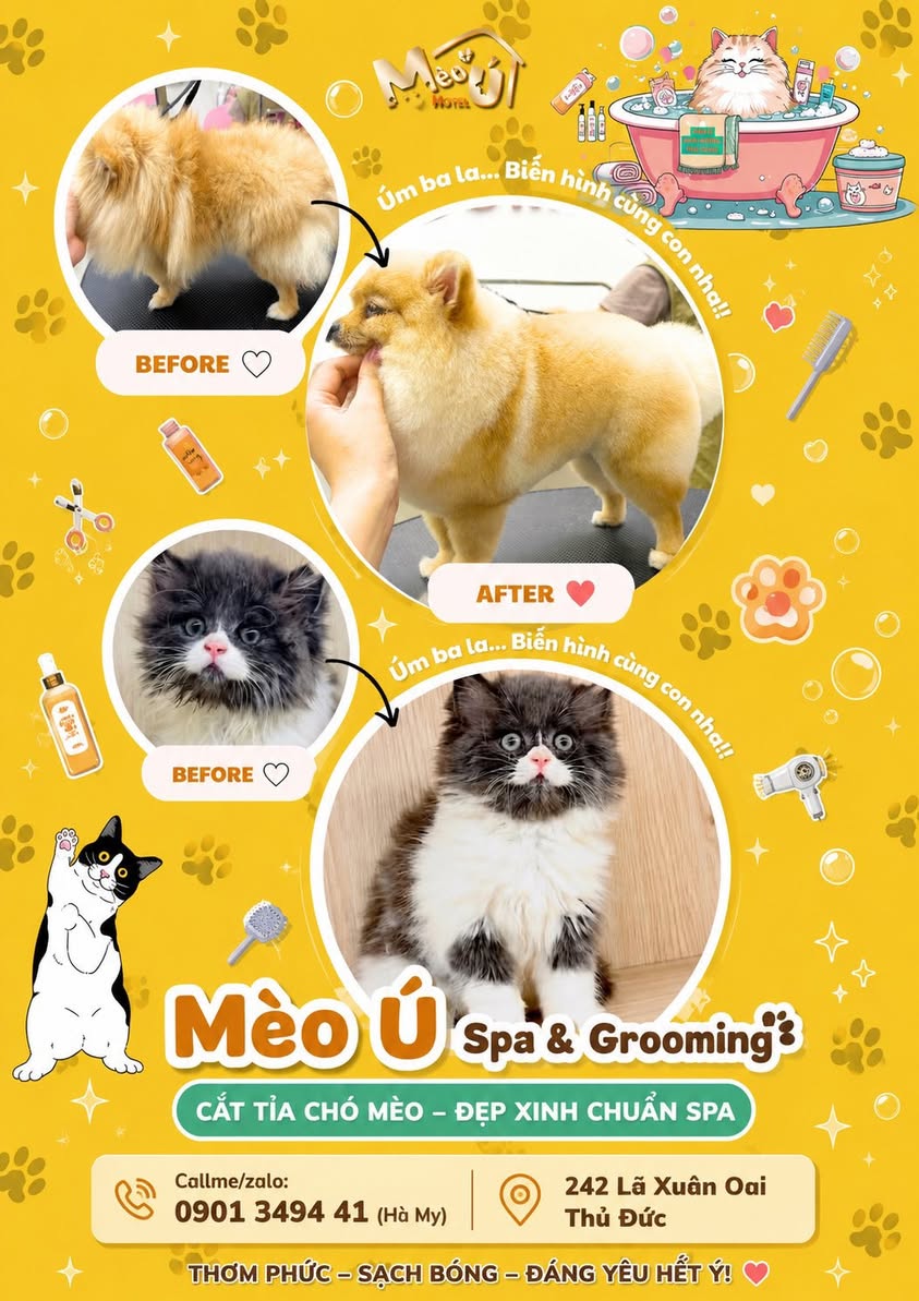Dịch vụ spa & grooming cho chó mèo: tắm sạch, cắt tỉa lông gọn gàng, giúp thú cưng thơm tho và đẹp hơn. Liên hệ Hà My để đặt lịch.