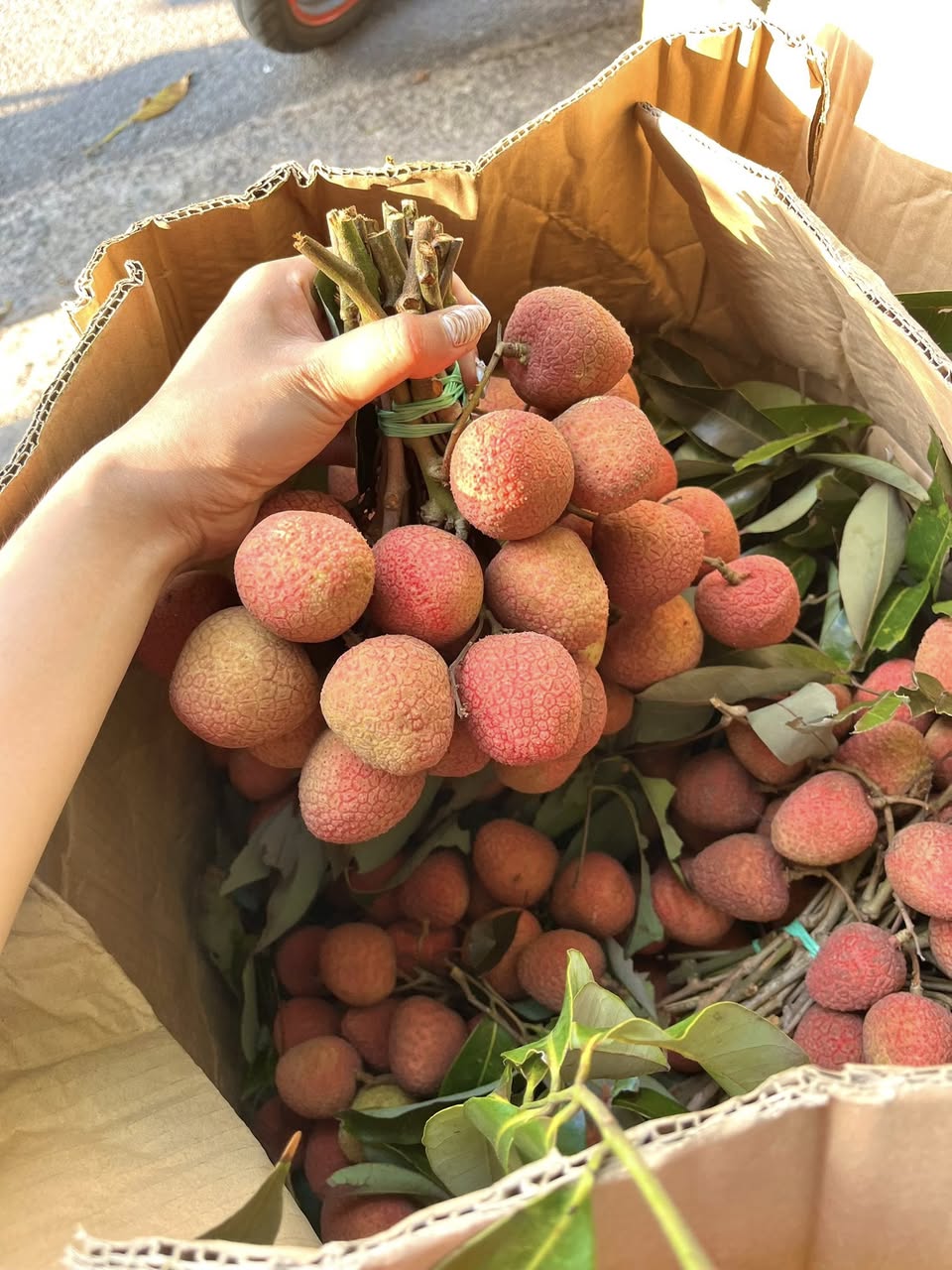 Bán vải Đăk Lăk tươi, trái to, ngọt, giá ưu đãi theo số lượng: 1kg 40k, 2kg 75k, 3kg 110k. Nhận đơn và ship vào Thứ 4. Liên hệ qua bình luận hoặc nhắn tin.