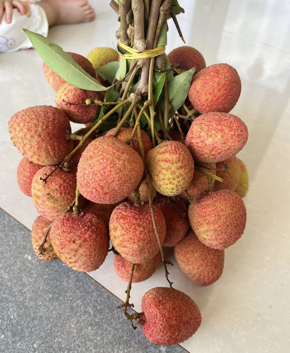 Bán vải Đăk Lăk tươi, trái to, ngọt, giá ưu đãi theo số lượng: 1kg 40k, 2kg 75k, 3kg 110k. Nhận đơn và ship vào Thứ 4. Liên hệ qua bình luận hoặc nhắn tin.