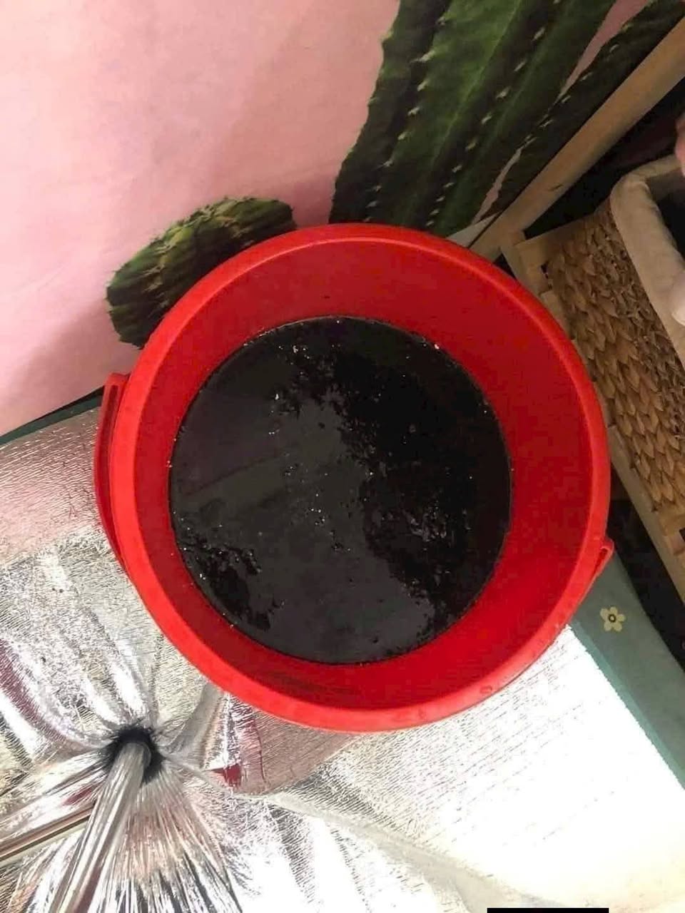 Điện Lạnh Hoàng Hải nhận vệ sinh, sửa chữa, lắp đặt, bảo trì máy lạnh, máy giặt, tủ lạnh. Giá dịch vụ rõ ràng, uy tín, chất lượng.