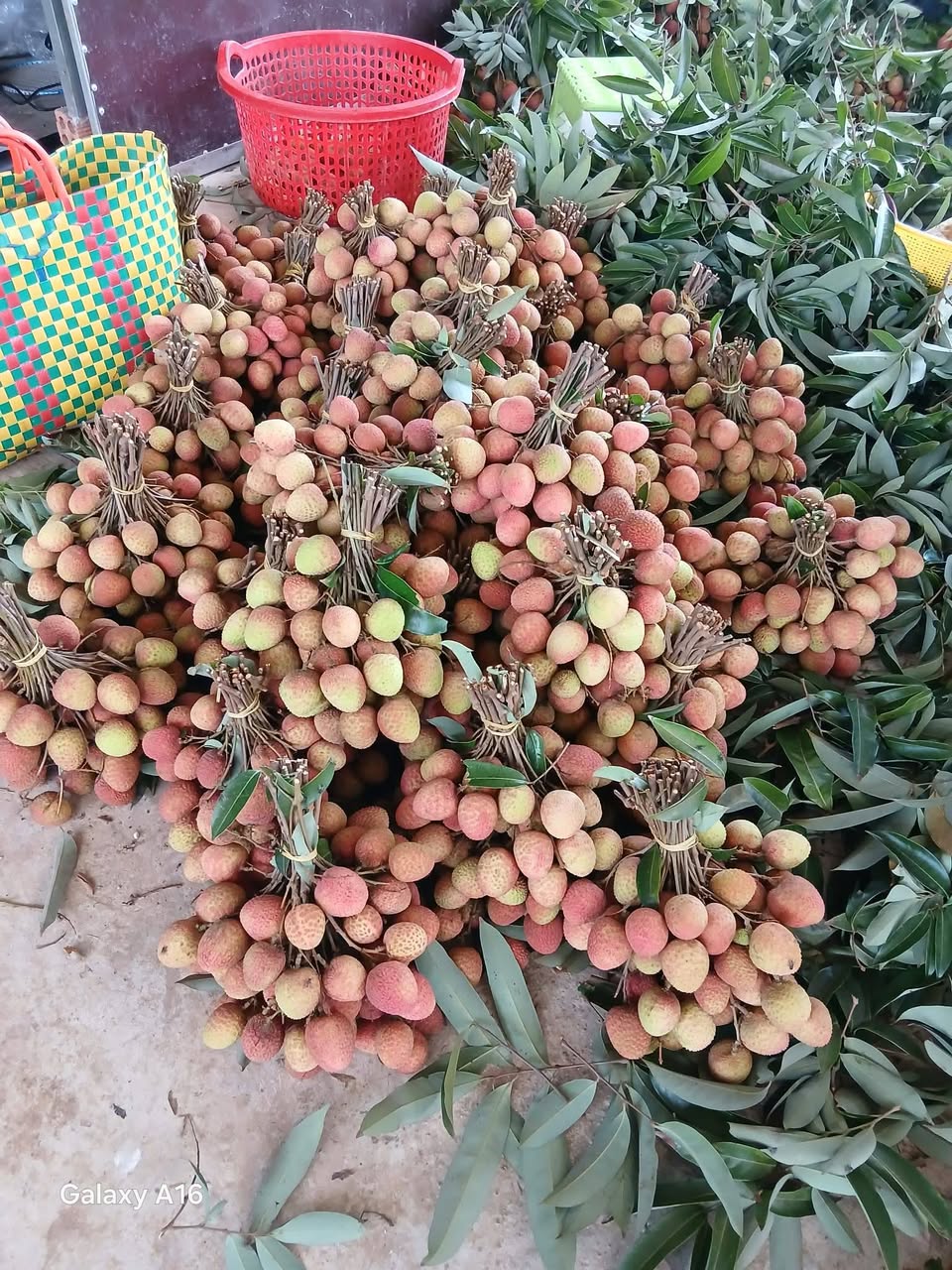 Nhận đơn vải u hồng (105k/3kg) và nhãn Hương Chi (120k/3kg), trái ngọt, tươi, giao ngày mai.