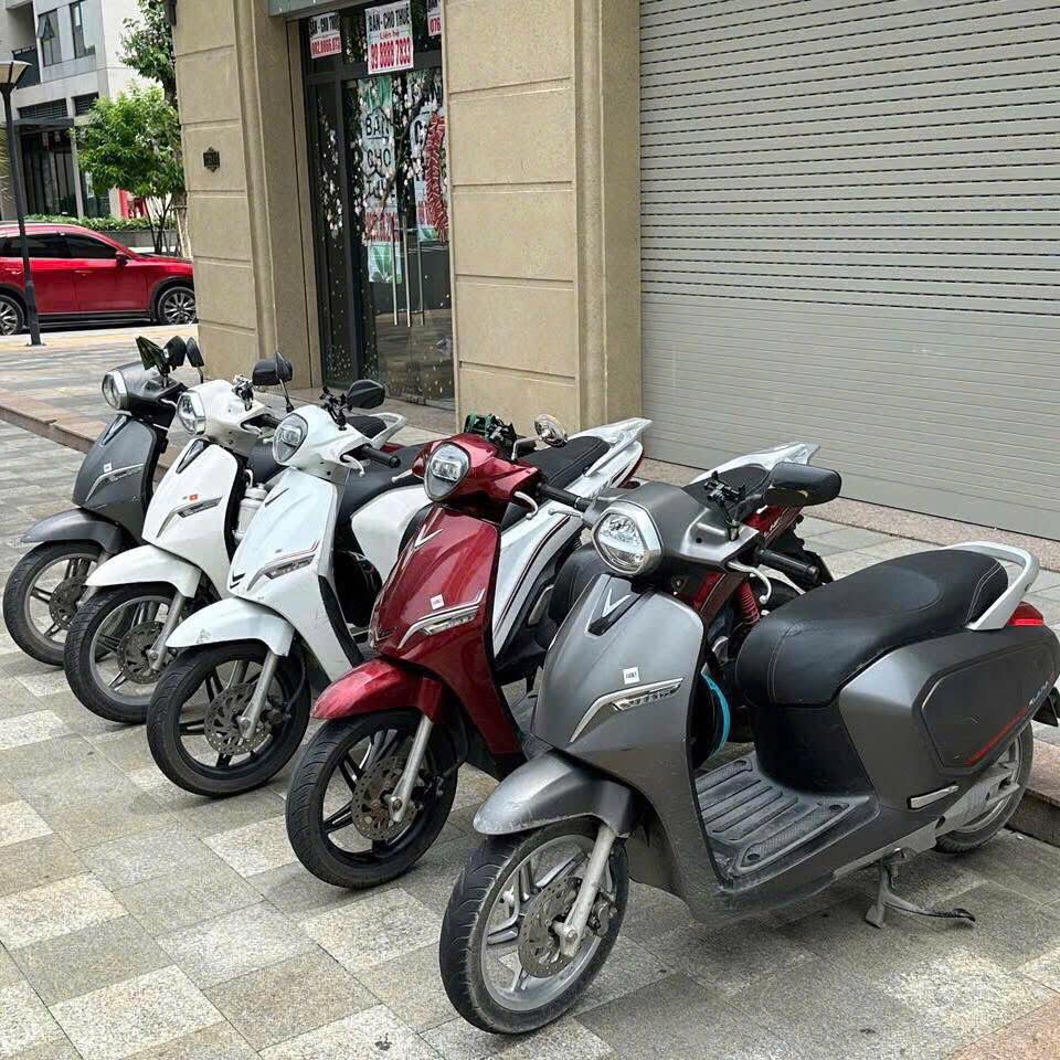Dịch vụ cho thuê xe điện BlueVolt, không cần đặt cọc, nhận xe nhanh, hỗ trợ giao nhận tận sảnh, sửa chữa và cứu hộ 24/7. Giá từ 80K/ngày.